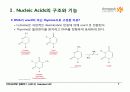 BIOCHEMISTRY 1 - Chapter 4 Nucleic Acids 7페이지