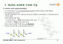 BIOCHEMISTRY 1 - Chapter 4 Nucleic Acids 8페이지