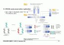 BIOCHEMISTRY 1 - Chapter 4 Nucleic Acids 11페이지