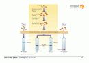 BIOCHEMISTRY 1 - Chapter 4 Nucleic Acids 12페이지