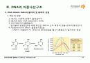 BIOCHEMISTRY 1 - Chapter 4 Nucleic Acids 13페이지