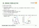 BIOCHEMISTRY 1 - Chapter 4 Nucleic Acids 14페이지