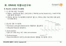 BIOCHEMISTRY 1 - Chapter 4 Nucleic Acids 16페이지