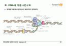 BIOCHEMISTRY 1 - Chapter 4 Nucleic Acids 20페이지