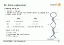 BIOCHEMISTRY 1 - Chapter 4 Nucleic Acids 21페이지