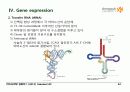 BIOCHEMISTRY 1 - Chapter 4 Nucleic Acids 24페이지