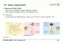 BIOCHEMISTRY 1 - Chapter 4 Nucleic Acids 25페이지