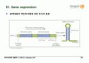 BIOCHEMISTRY 1 - Chapter 4 Nucleic Acids 30페이지