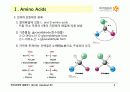 BIOCHEMISTRY 1 - Chapter 2 Protein Composition and Structure 4페이지