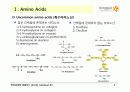 BIOCHEMISTRY 1 - Chapter 2 Protein Composition and Structure 6페이지