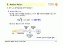 BIOCHEMISTRY 1 - Chapter 2 Protein Composition and Structure 15페이지
