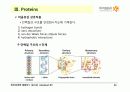 BIOCHEMISTRY 1 - Chapter 2 Protein Composition and Structure 26페이지