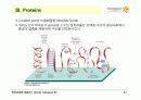 BIOCHEMISTRY 1 - Chapter 2 Protein Composition and Structure 27페이지