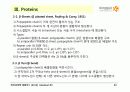BIOCHEMISTRY 1 - Chapter 2 Protein Composition and Structure 30페이지