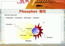 [무기화학실험] phosphor 3페이지