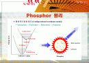 [무기화학실험] phosphor 4페이지