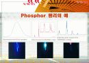 [무기화학실험] phosphor 5페이지