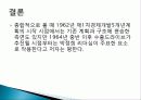 박정희와 한강의 기적을 읽고 줄거리 요약 및 감상문, 느낀점, 독후감, 나의 견해, 나의 소감, 시사점, 총체적 조사분석 25페이지