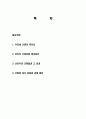 간판의 역사, 유래, 형성원인, 선진국의 간판들, 효과, 간판에 담긴 문화, 경제 발전, 후진성, 특징, 현황, 사례, 관리, 역할, 기법, 시사점, 총체적 조사분석 2페이지