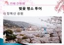 진해 군항제와 군항문화 벚꽃축제의 경제적 효과, 등장배경, 성공 요인, 전략, 특징, 중요성, 지역경제 개발사례, 유래, 현황, 관리, 역할, 전망, 시사점 분석 13페이지