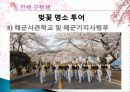 진해 군항제와 군항문화 벚꽃축제의 경제적 효과, 등장배경, 성공 요인, 전략, 특징, 중요성, 지역경제 개발사례, 유래, 현황, 관리, 역할, 전망, 시사점 분석 15페이지