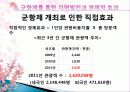 진해 군항제와 군항문화 벚꽃축제의 경제적 효과, 등장배경, 성공 요인, 전략, 특징, 중요성, 지역경제 개발사례, 유래, 현황, 관리, 역할, 전망, 시사점 분석 22페이지