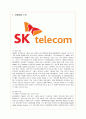 SK텔레콤(telecom)의 인적자원관리 분석 1페이지