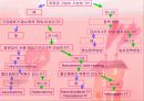 연하장애 환자의 식이 관리 (Nutritional Management of Dysphagia) 10페이지