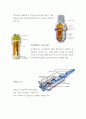 원자력에너지 15페이지