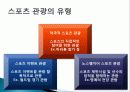 스포츠 관광 상품, 정보, 일정, 현황, 계획, 관광지 소개, 종류, 유의사항, 특징, 역사, 국내 현황, 마케팅 전략, 효과, 발전방안, 전망, 조사분석 3페이지