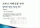 크루즈 관광, 여행 정보, 일정, 현황, 계획, 관광지 소개, 종류, 유의사항, 특징, 역사, 국내 현황, 마케팅 전략, 발전방안, 성공사례, 전망, 조사분석 5페이지