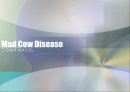 [생물학개론] 광우병관련 mcd (Mad Cow Disease) 2페이지