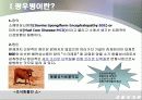 [생물학개론] 광우병관련 mcd (Mad Cow Disease) 4페이지