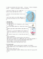 기흉컨퍼런스 13페이지