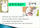 초보 재테크 방법, 주식, 철저한 분산투자, 분할 매수 매도, 우량 위주의 투자, 손절매 가격과 이익실현, 선물, 옵션, 관리, 미래 전망, 역할, 기법, 시사점 7페이지