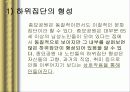 한국 노인의 복지 정책 분석, 종묘 공원의 노인집단 문화 형성, 고찰, 특징, 현황, 사례, 관리, 역할, 기법, 시사점, 나의견해, 총체적 조사분석 18페이지