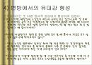 한국 노인의 복지 정책 분석, 종묘 공원의 노인집단 문화 형성, 고찰, 특징, 현황, 사례, 관리, 역할, 기법, 시사점, 나의견해, 총체적 조사분석 25페이지