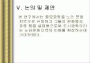 한국 노인의 복지 정책 분석, 종묘 공원의 노인집단 문화 형성, 고찰, 특징, 현황, 사례, 관리, 역할, 기법, 시사점, 나의견해, 총체적 조사분석 36페이지