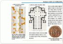 119,도시계획사,서양도시계획사,르네상스시대도시계획,건축부문,르네상스도시계획,이상도시,르네상스의건축,1500 21페이지