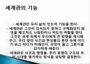 세계관의 기능, 특징, 삶에 있어서의 세계관의 역할, 성경과 세계관의 관계, 창조의 발전, 타락의 의미, 구조와 방향 총체적 조사분석 3페이지