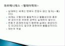 고대 이집트와 메소포타미아 문명의 역사, 철학, 생애, 영향, 특징, 현황, 관리, 역할, 기법, 시사점, 나의견해, 총체적 조사분석 17페이지