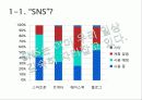 SNS의 개념, 용어, 조사방향, 국내, 해외에서 나타나는 시민사회 운동, 온라인 정치참여 SNS 사례, SNS를 통한 시민운동의 한계점, 특징, 역할, 시사점 3페이지