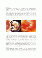 [인간행동과사회환경a+자료] 태아기, 유아기, 학령전기에 대해서 6페이지