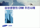 삼성생명의 CRM 추진사례 - mis삼성생명crm,삼성생명,마케팅,브랜드,브랜드마케팅,기업,서비스마케팅,글로벌,경영,시장,사례,swot,stp,4p 1페이지