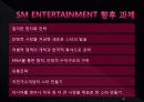 SM ENTERTAINMENT - sm엔터테인먼트,jyp,마케팅,브랜드,브랜드마케팅,기업,서비스마케팅,글로벌,경영,시장,사례,swot,stp,4p 34페이지