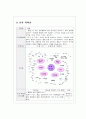 보육계획 동물 교육 프로그램 일,주,월간 계획 2페이지