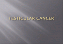 고환암 Testicular cancer 1페이지