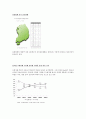 제약시장 유통구조 17페이지