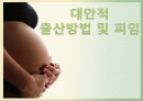 대안적 출산방법 및 피임 1페이지