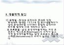 동성애의 원인, 문제점, 역사 및 해결 방안 그리고 대중매체 속에 그려진 동성애 15페이지